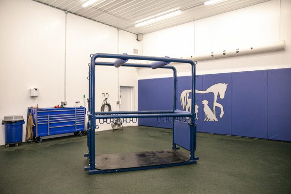 Equine Treatment Area