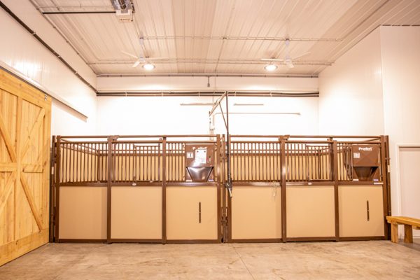 Equine Stalls